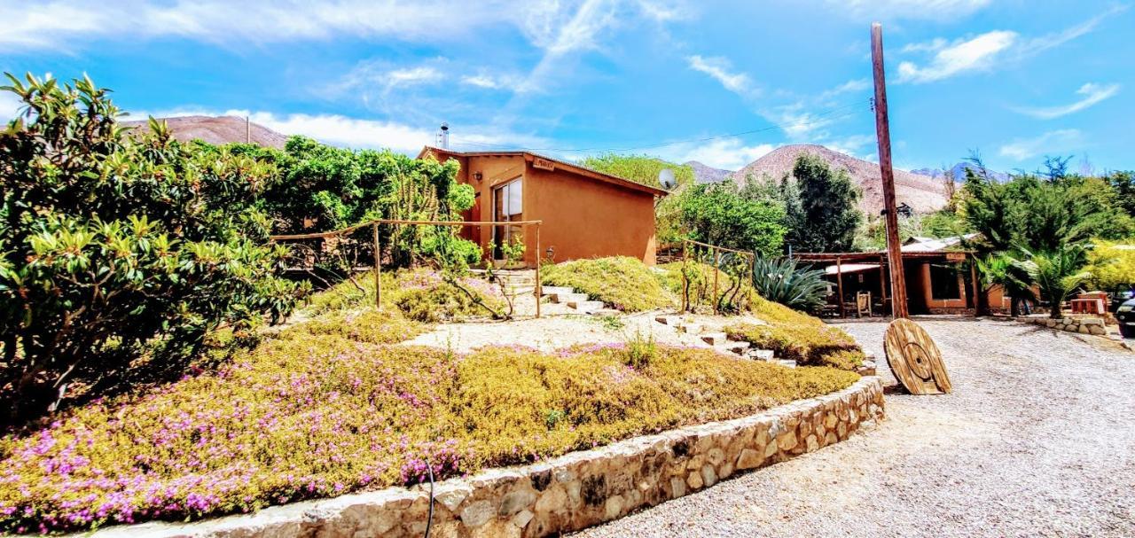 Refugios Pisco Elqui Villa Exteriör bild